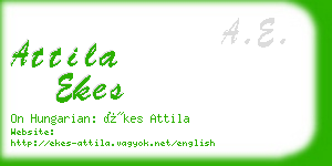 attila ekes business card